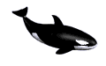 whale1[1]